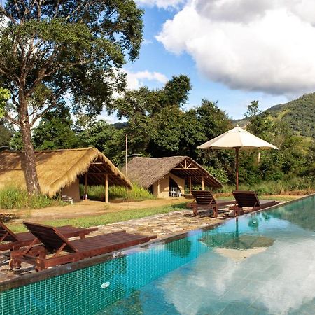 Wild Glamping Gal Oya - Thema Collection Hotel Galgamuwa  Bagian luar foto