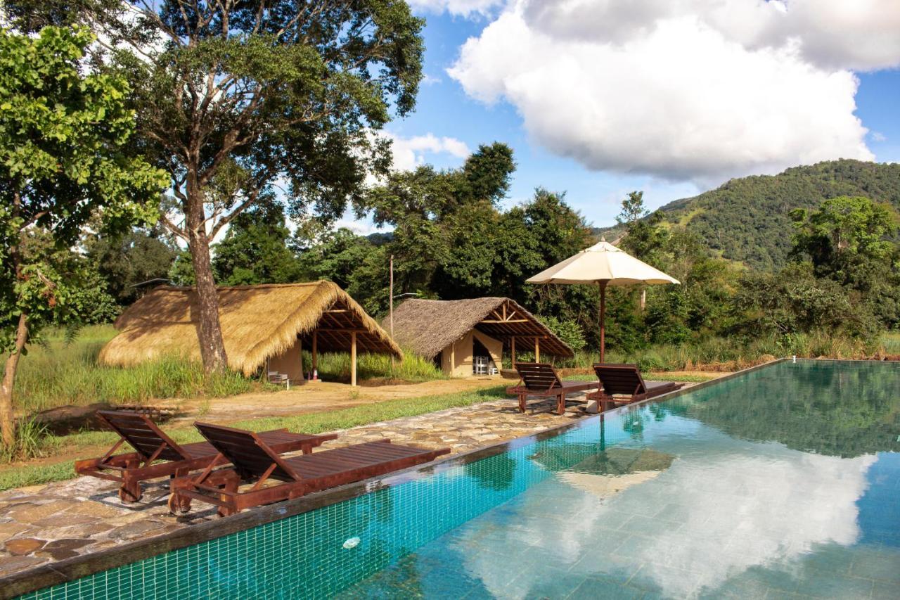 Wild Glamping Gal Oya - Thema Collection Hotel Galgamuwa  Bagian luar foto