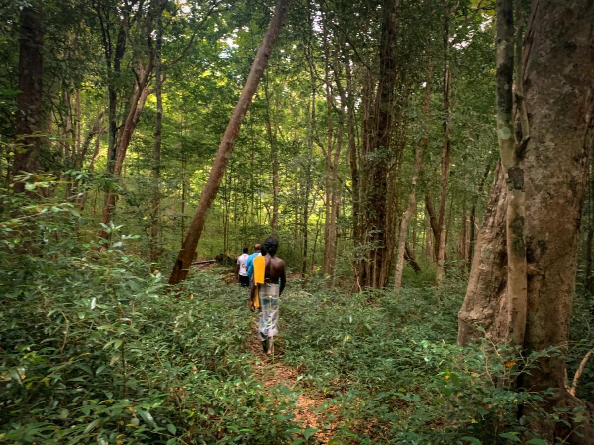 Wild Glamping Gal Oya - Thema Collection Hotel Galgamuwa  Bagian luar foto