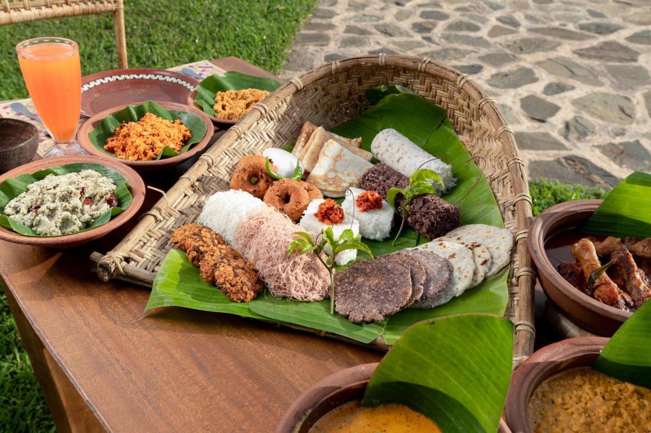 Wild Glamping Gal Oya - Thema Collection Hotel Galgamuwa  Bagian luar foto